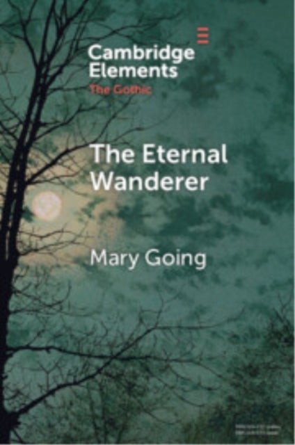 The Eternal Wanderer - Christian Negotiations in the Gothic Mode