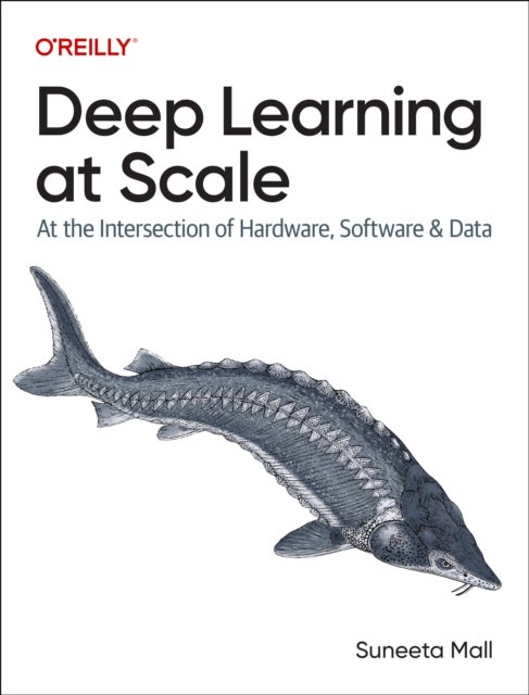 Deep Learning at Scale - At the Intersection of Hardware, Software, and Data