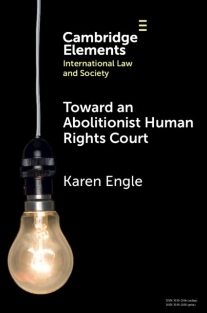 Toward an Abolitionist Human Rights Court - Rethinking Responses to Gendered and Racialized Violence