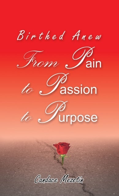 Birthed Anew: From Pain to Passion to Purpose