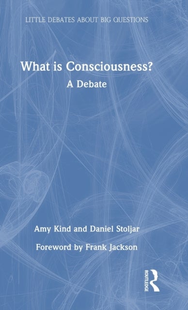 What is Consciousness?