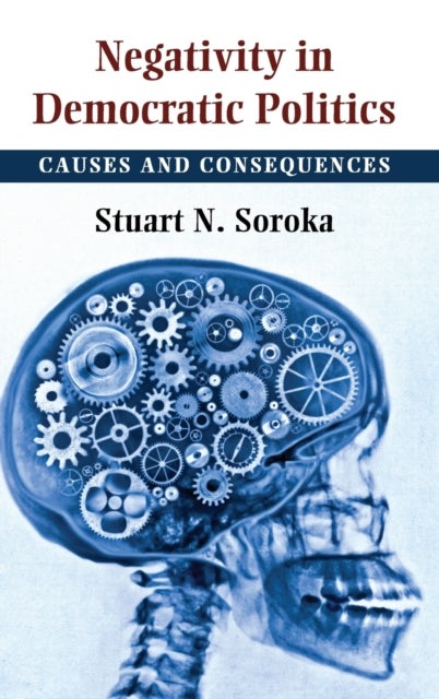Negativity in Democratic Politics - Causes and Consequences