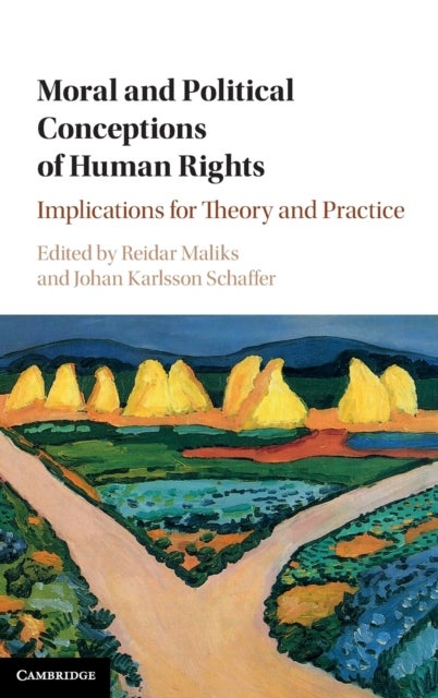 Moral and Political Conceptions of Human Rights - Implications for Theory and Practice