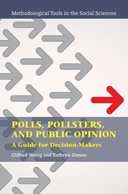 Polls, Pollsters, and Public Opinion - A Guide for Decision-Makers