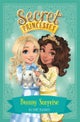Secret Princesses: Bunny Surprise