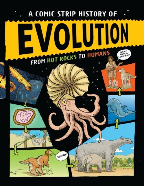 A Comic Strip History of Evolution - From Hot Rocks to Humans