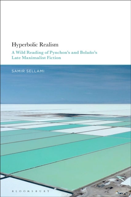 Hyperbolic Realism - A Wild Reading of Pynchon's and Bolano's Late Maximalist Fiction