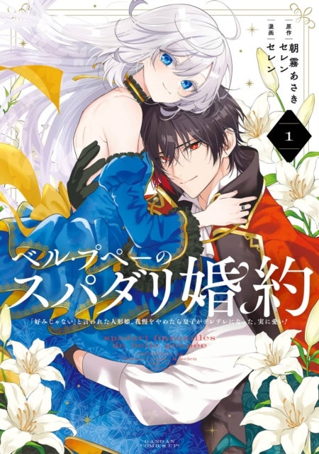The Princess Groom 01