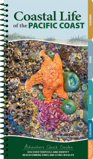 Coastal Life of the Pacific Coast - Discover Tidepools and Identify Beachcombing Finds and Iconic Wildlife