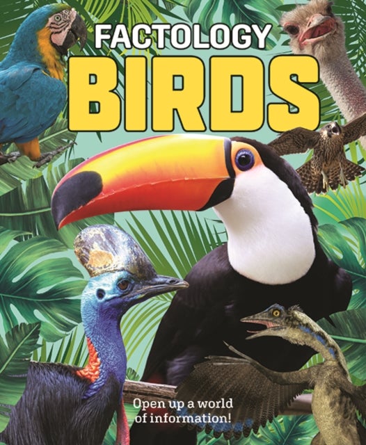 Factology: Birds - Open Up a World of Information!