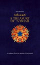 A Treasury of Aisha