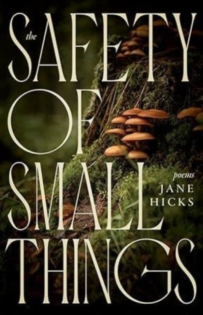 The Safety of Small Things - Poems