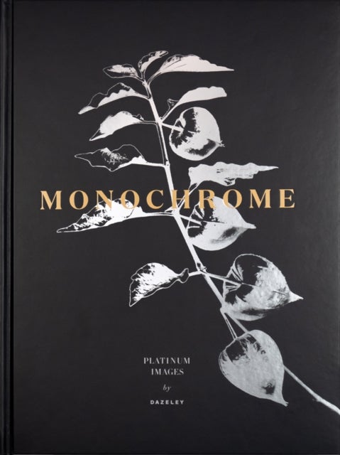 Monochrome - Platinum Prints
