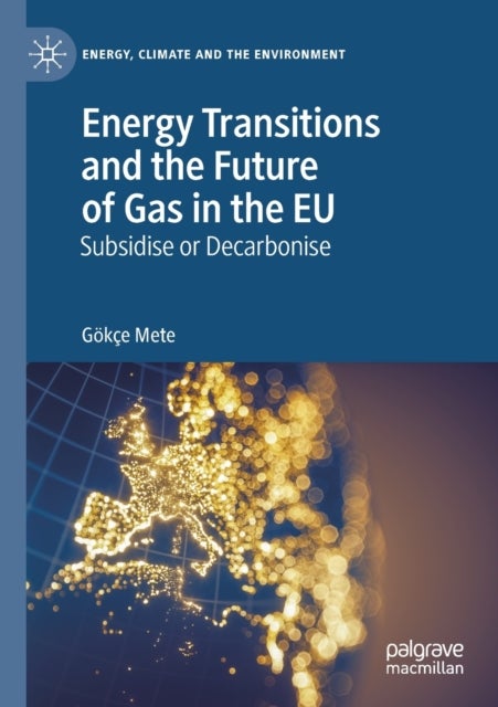 Energy Transitions and the Future of Gas in the EU - Subsidise or Decarbonise