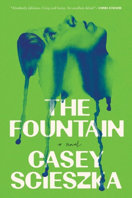 The Fountain - A Novel