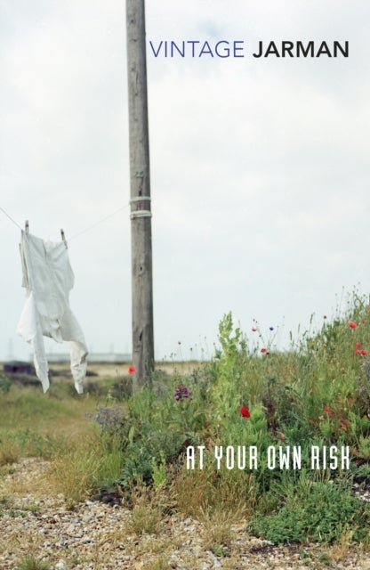 At Your Own Risk - A Saint's Testament