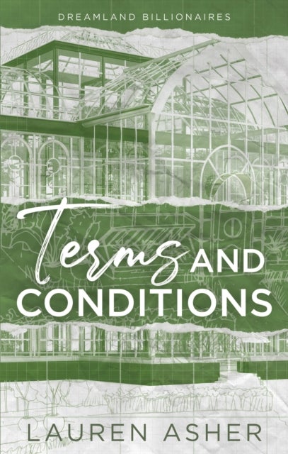 Terms and Conditions - the fake-dating TikTok sensation! Meet the Dreamland Billionaires...