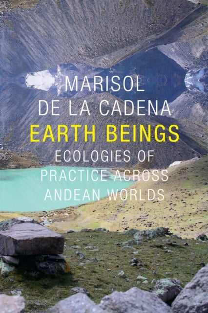 Earth Beings - Ecologies of Practice Across Andean Worlds