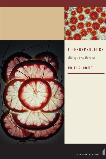 Interdependence - Biology and Beyond