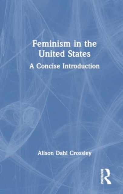 Feminism in the United States - A Concise Introduction