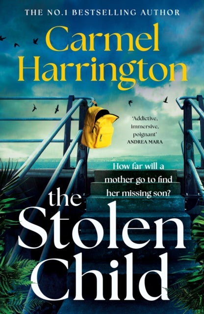 The Stolen Child - the gripping emotional thriller with a twist you'll never see coming