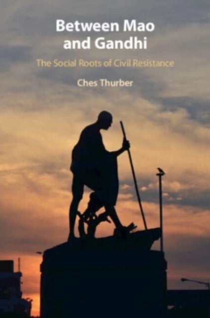 Between Mao and Gandhi - The Social Roots of Civil Resistance