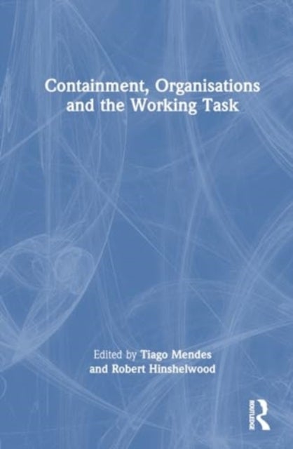 Containment, Organisations and the Working Task