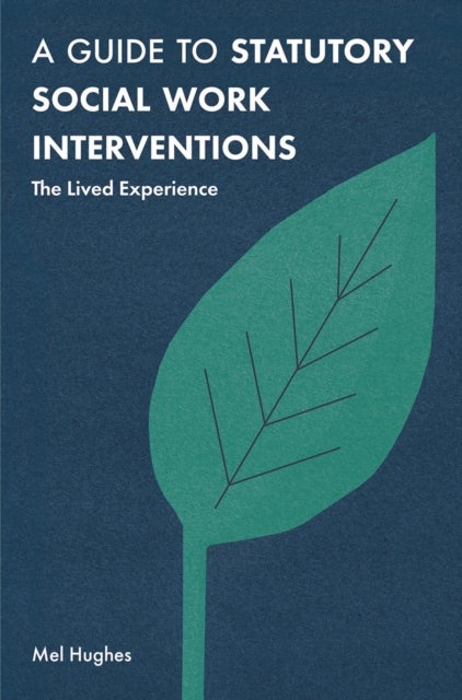 A Guide to Statutory Social Work Interventions - The Lived Experience