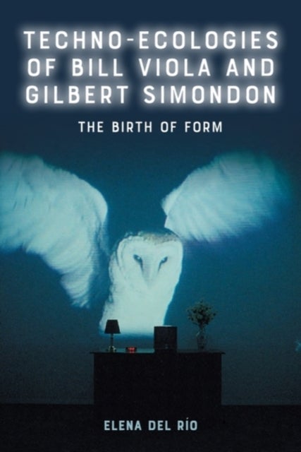 Techno-Ecologies of Bill Viola and Gilbert Simondon - The Birth of Form