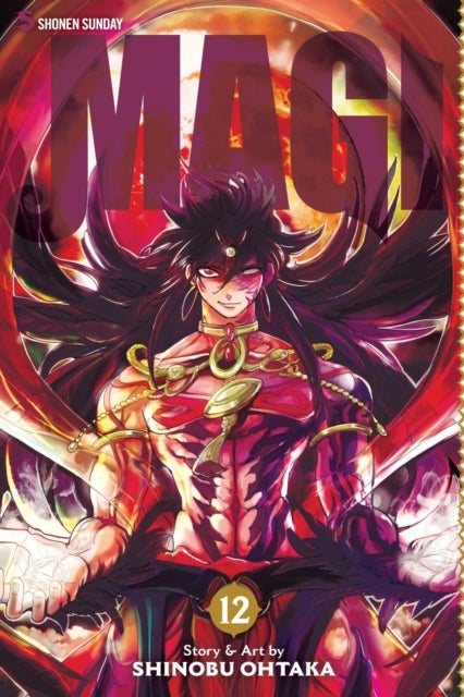 Magi: The Labyrinth of Magic, Vol. 12 - The Labyrinth of Magic