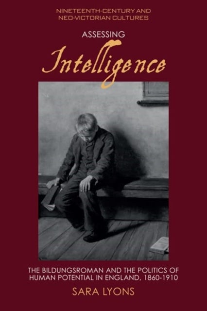 Assessing Intelligence - The Bildungsroman and the Politics of Human Potential in England, 1860–1910