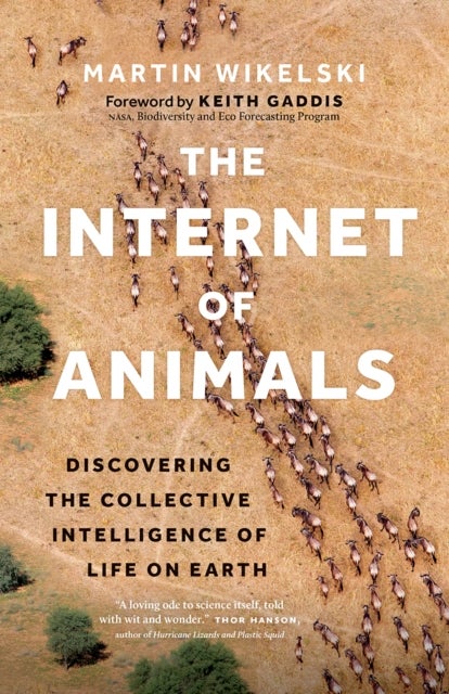 The Internet of Animals - Discovering the Collective Intelligence of Life on Earth