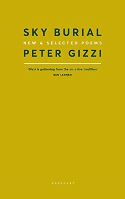 Sky Burial - New and Selected Poems