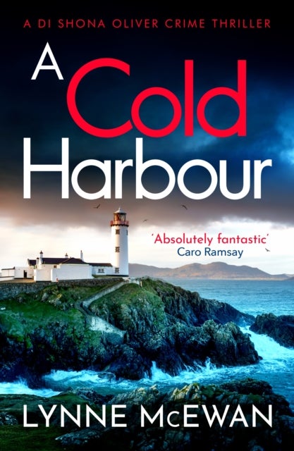 A Cold Harbour - A fast-paced Scottish crime thriller full of mystery and suspense