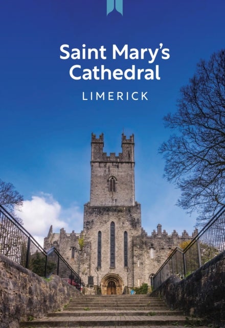 Saint Mary's Cathedral Limerick - A Guide