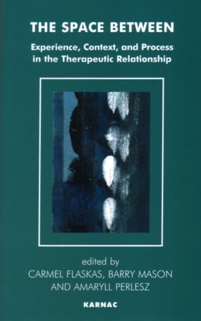 The Space Between - Experience, Context, and Process in the Therapeutic Relationship