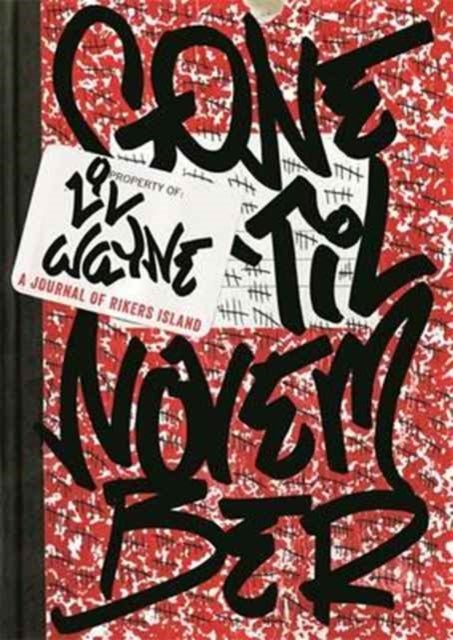 Gone 'Til November - A Journal of Rikers Island