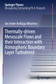 Thermally-driven Mesoscale Flows and their Interaction with Atmospheric Boundary Layer Turbulence
