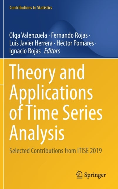 Theory and Applications of Time Series Analysis - Selected Contributions from ITISE 2019