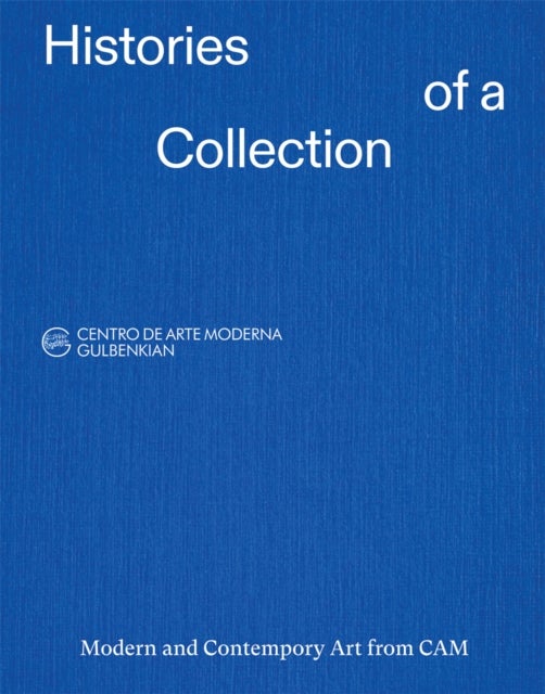 Histories of a Collection - Modern and Contemporary Art from CAM