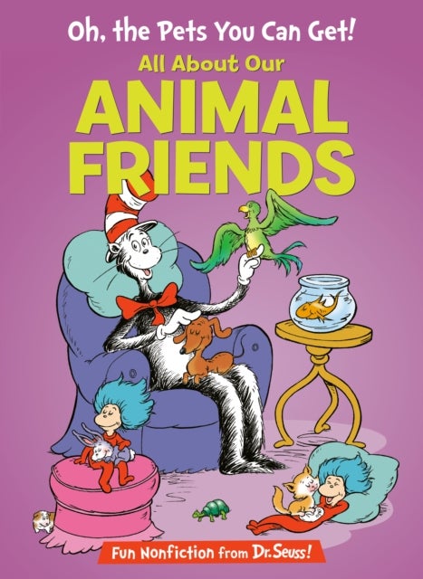 Oh, the Pets You Can Get! All About Our Animal Friends - All About Our Animal Friends
