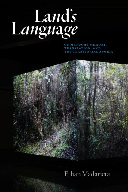 Land's Language - On Mapuche Memory, Translation, and the Territorial Aporia