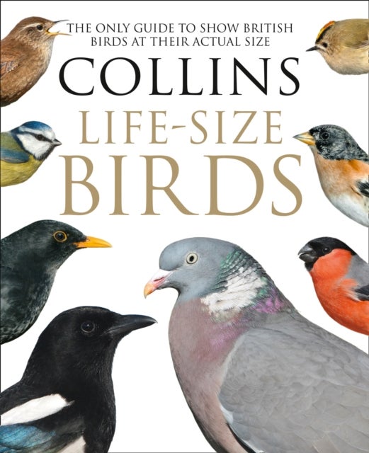 Collins Life-Size Birds - The Only Guide to Show British Birds at Their Actual Size