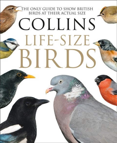 Collins Life-Size Birds - The Only Guide to Show British Birds at Their Actual Size