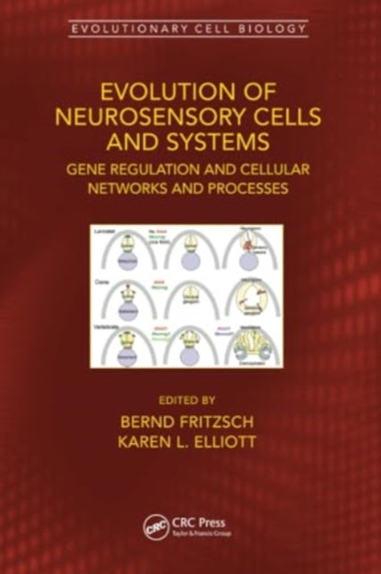 Evolution of Neurosensory Cells and Systems - Gene regulation and cellular networks and processes