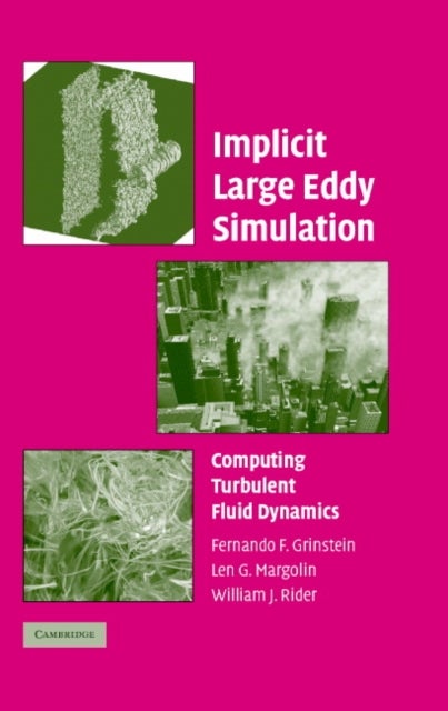 Implicit Large Eddy Simulation - Computing Turbulent Fluid Dynamics