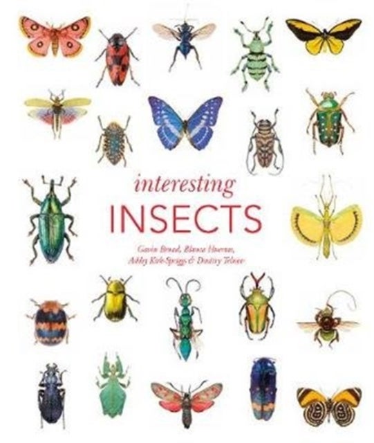 Interesting Insects