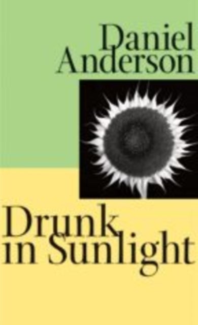 Drunk in Sunlight