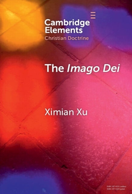 The Imago Dei - A Holistic Account