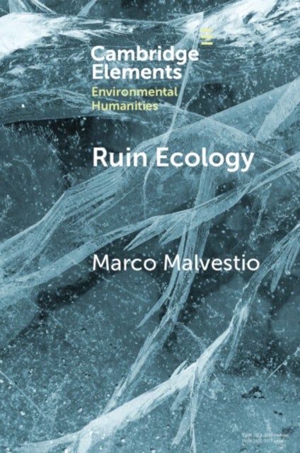 Ruin Ecology - An Exercise in Environmental Imagination